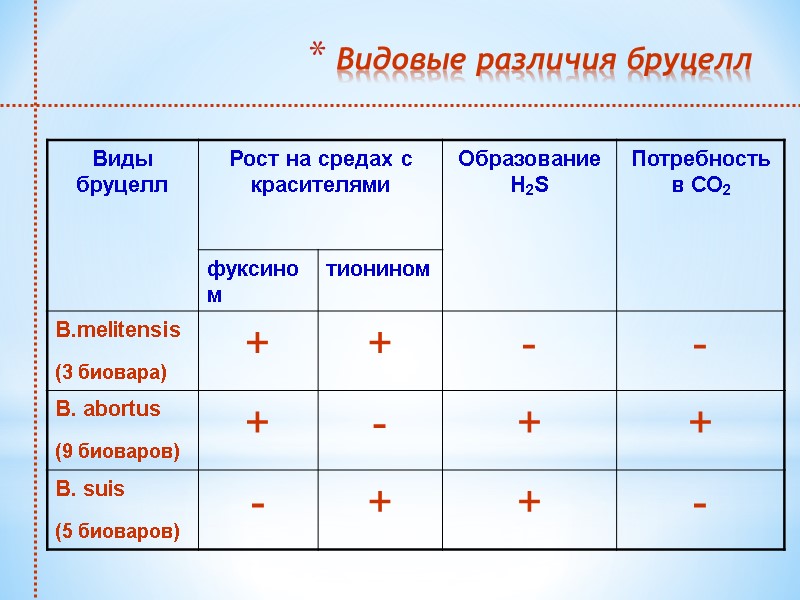 Видовые различия бруцелл